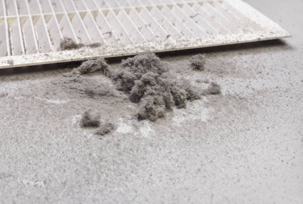 Best Ventilation Cleaning Services  in Manistique, MI