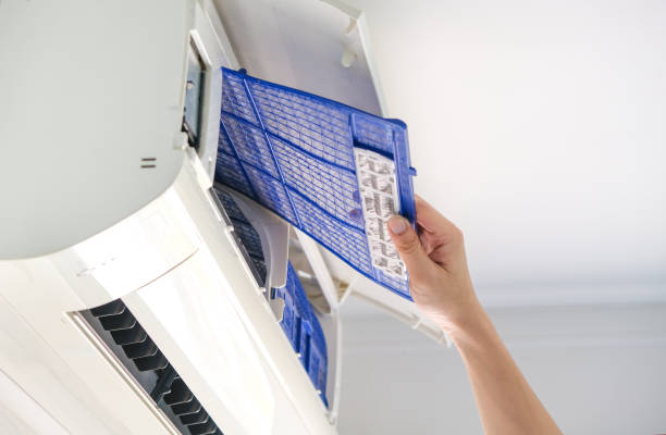 Best Local Air Duct Cleaning Services  in Manistique, MI