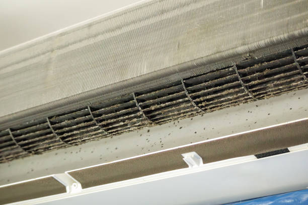 Best Duct Cleaning for Offices  in Manistique, MI