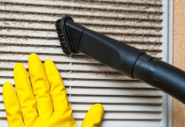 Best HVAC Duct Inspection Services  in Manistique, MI